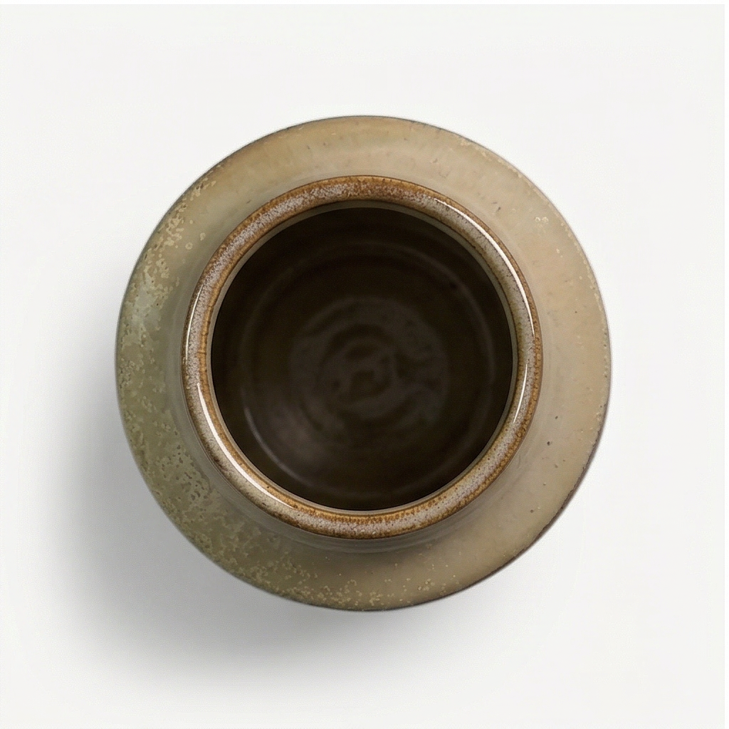 Leo Textured Ceramic Pot