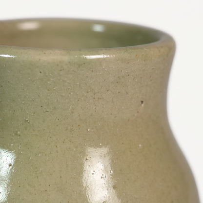 Ivy Ceramic Pot