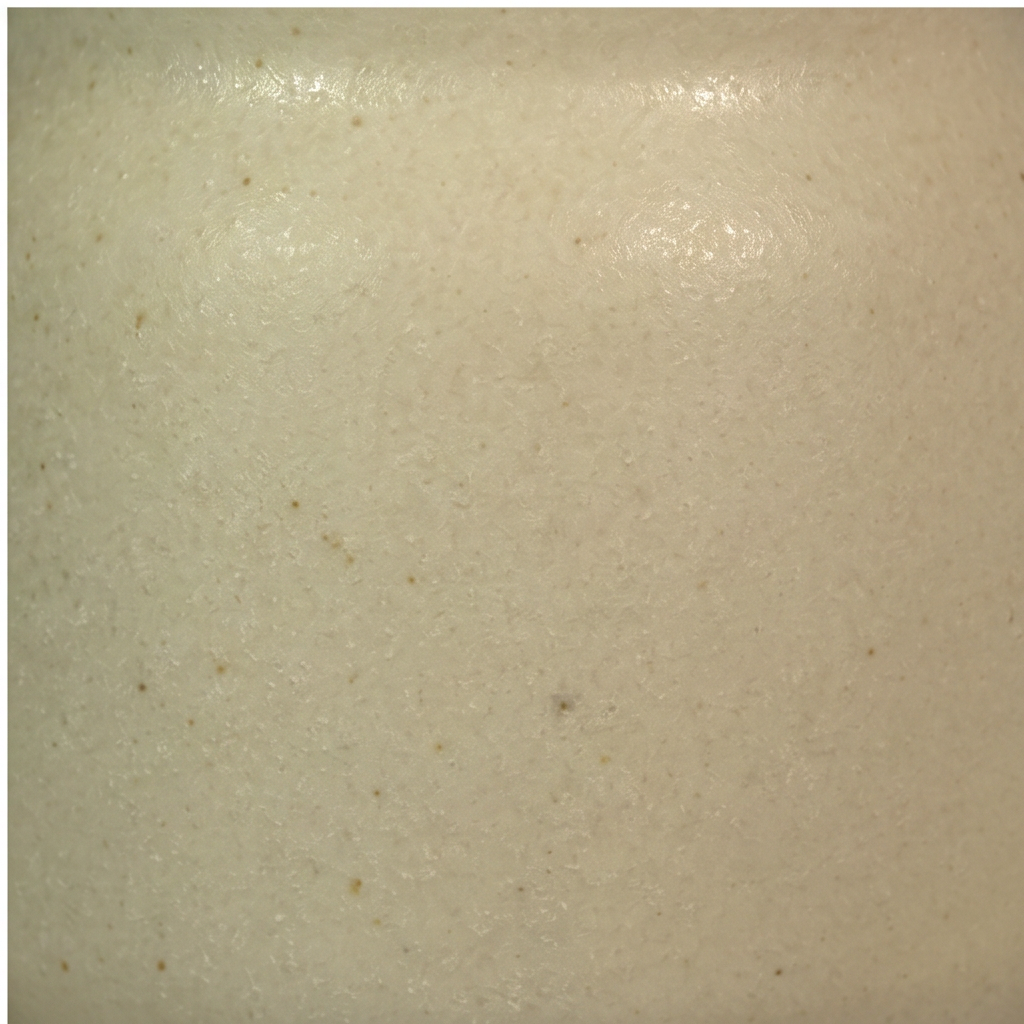 Kyla Ceramic Pot