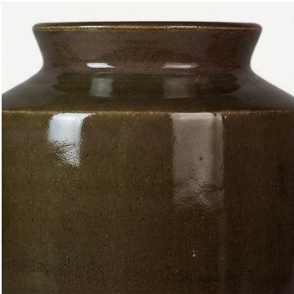 Liora Ceramic Pot