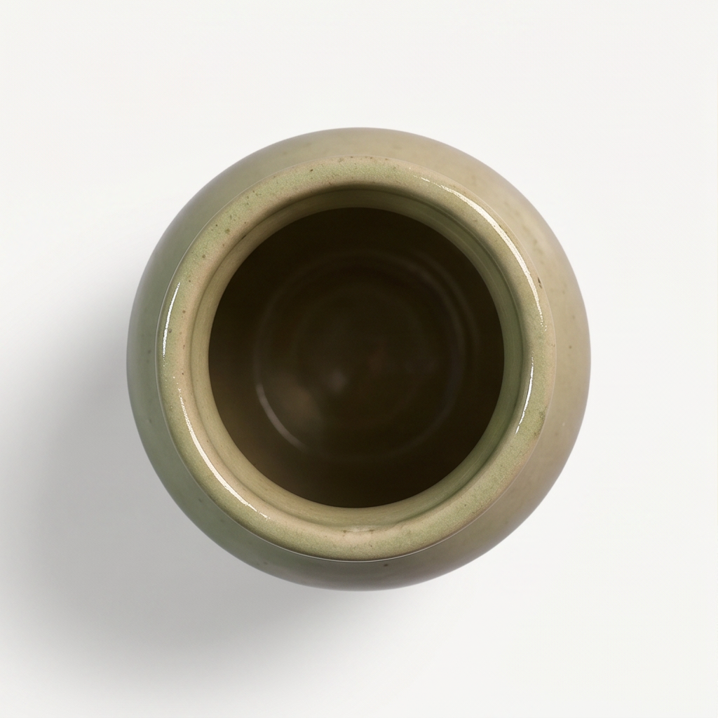 Ivy Ceramic Pot