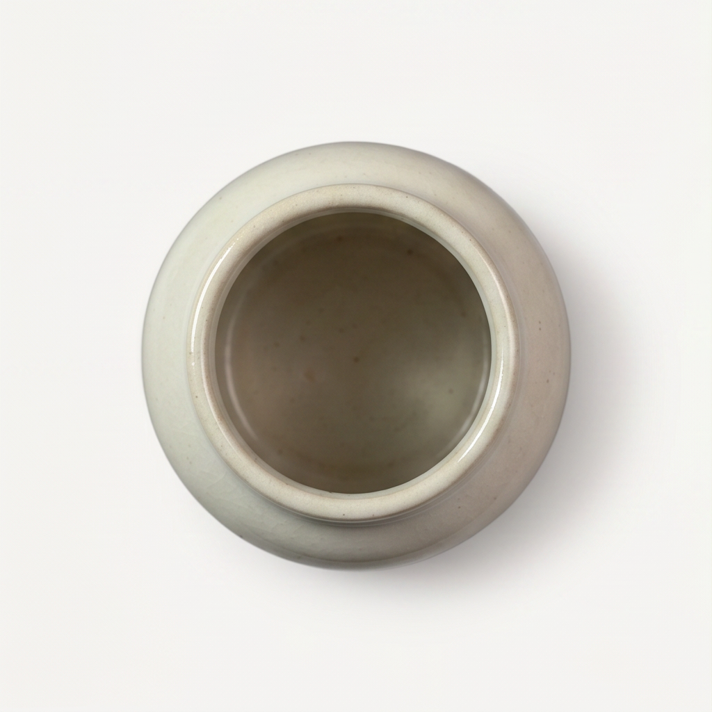 Clea Ceramic Pot