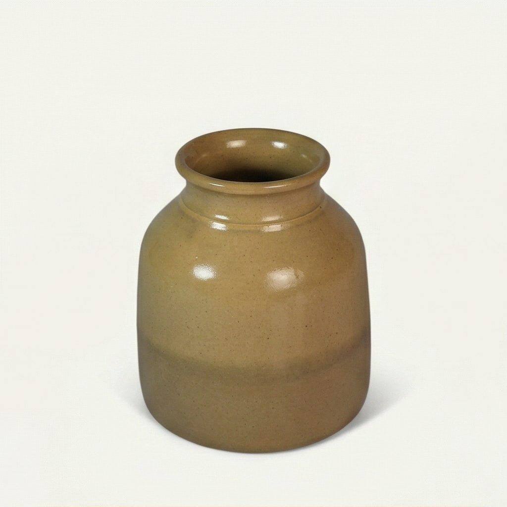 Ayla Ceramic Pot