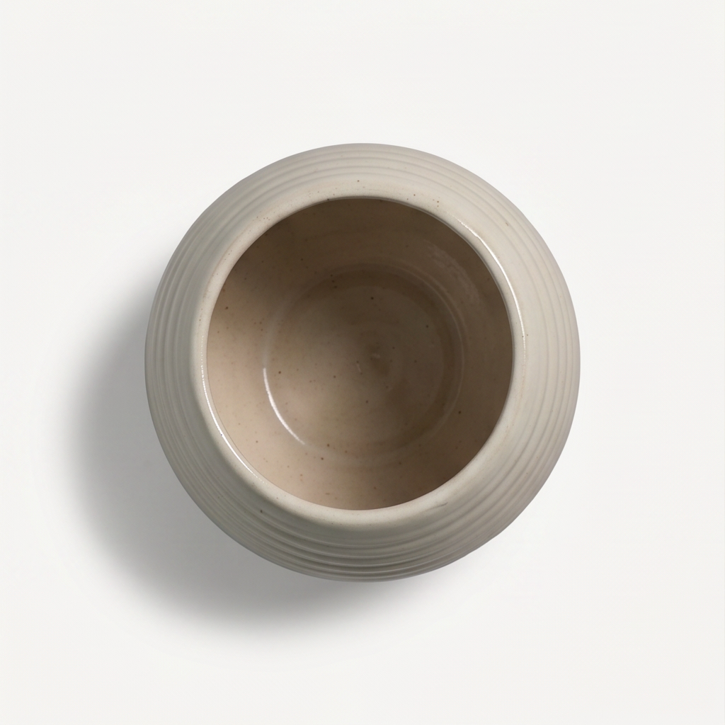 Celia Ceramic Pot