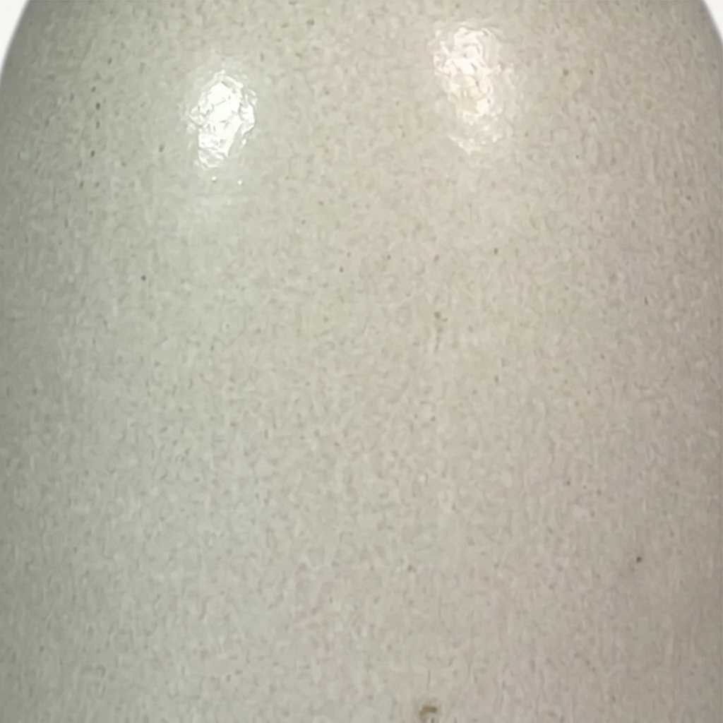 Raya Ceramic Pot