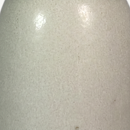 Raya Ceramic Pot