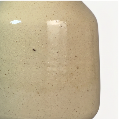 Nia Ceramic Pot