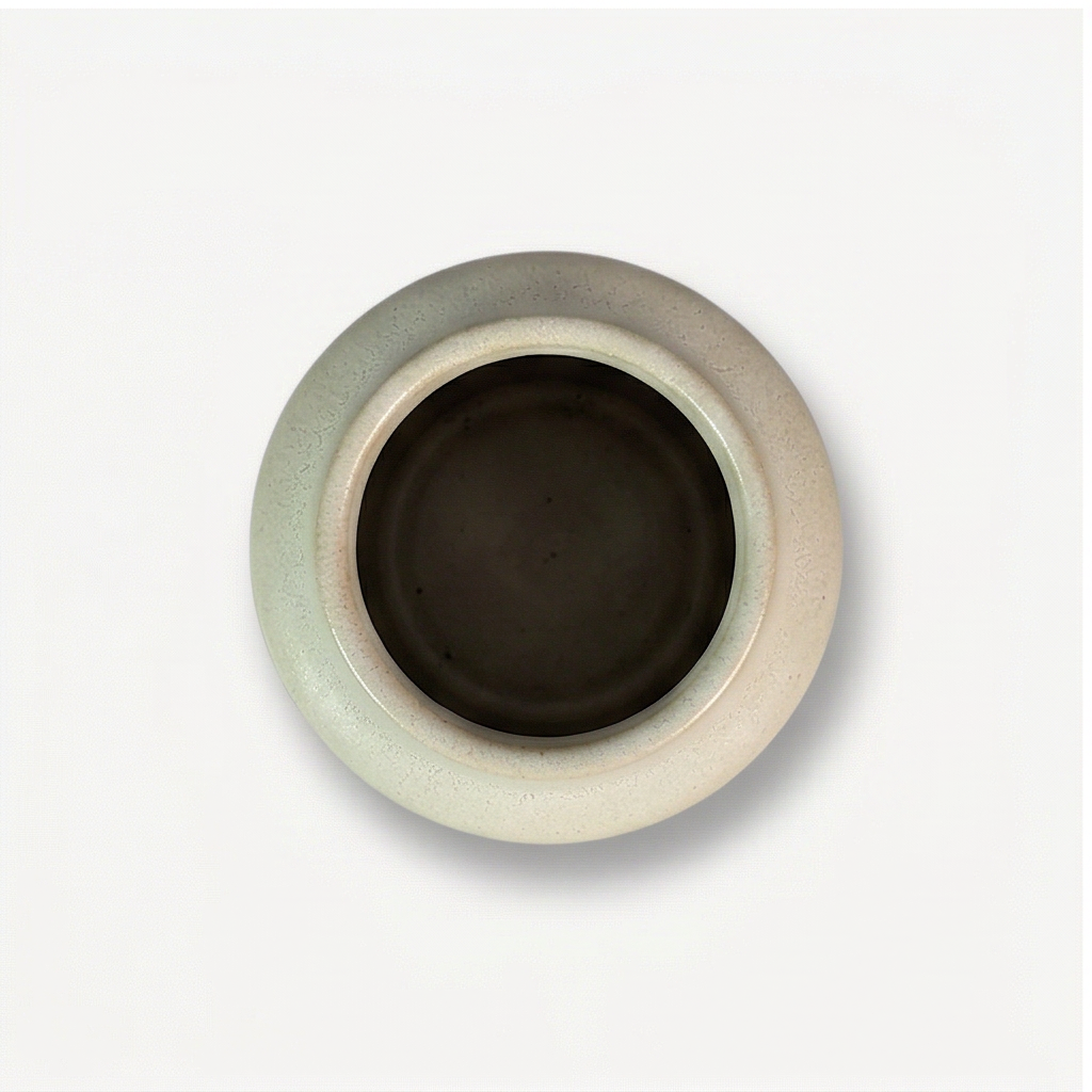Leo Ceramic Pot