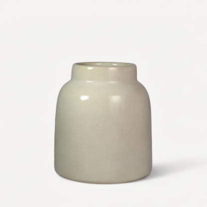 Clea Ceramic Pot