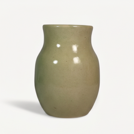 Ivy Ceramic Pot