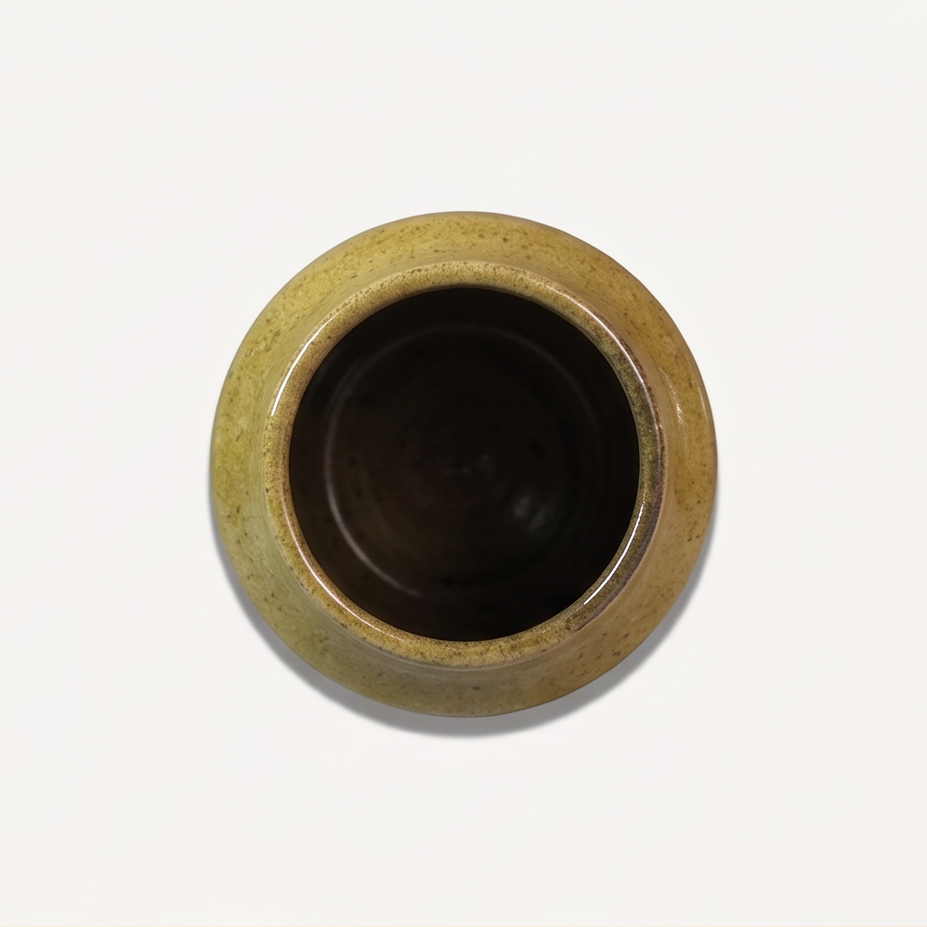 Solace Ceramic Pot