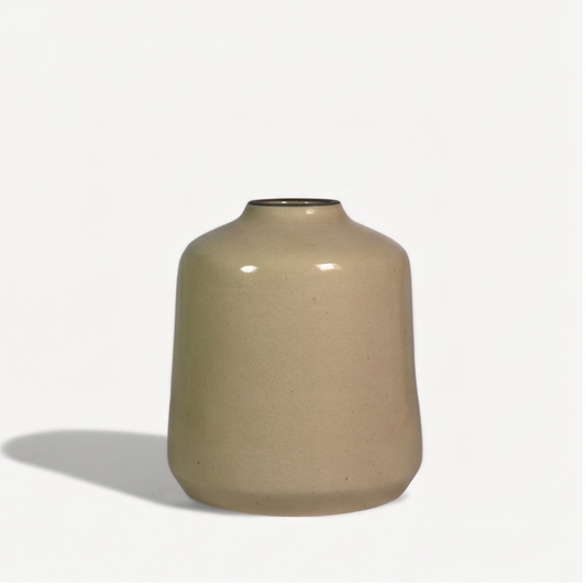 Cypress Ceramic Pot