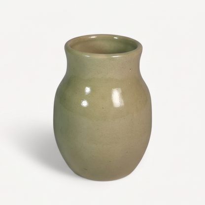 Ivy Ceramic Pot