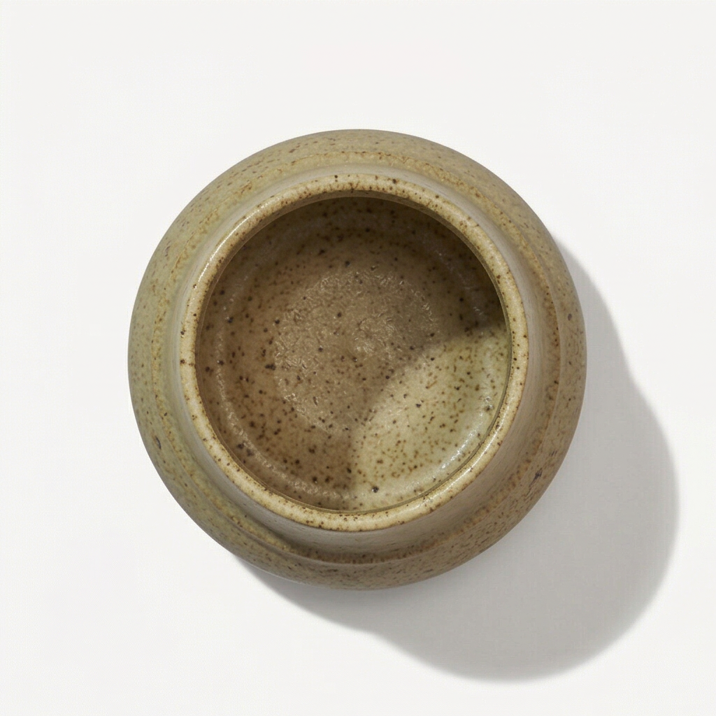 Aurea Ceramic Pot