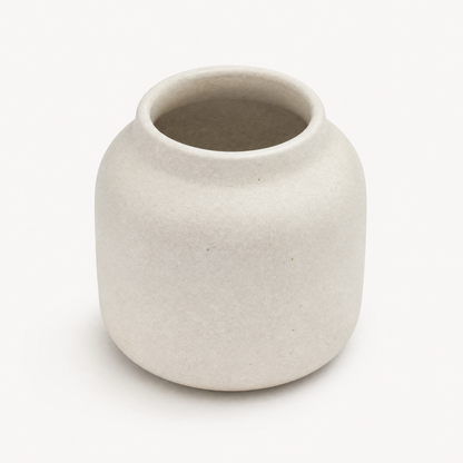 Aveline Ceramic Pot