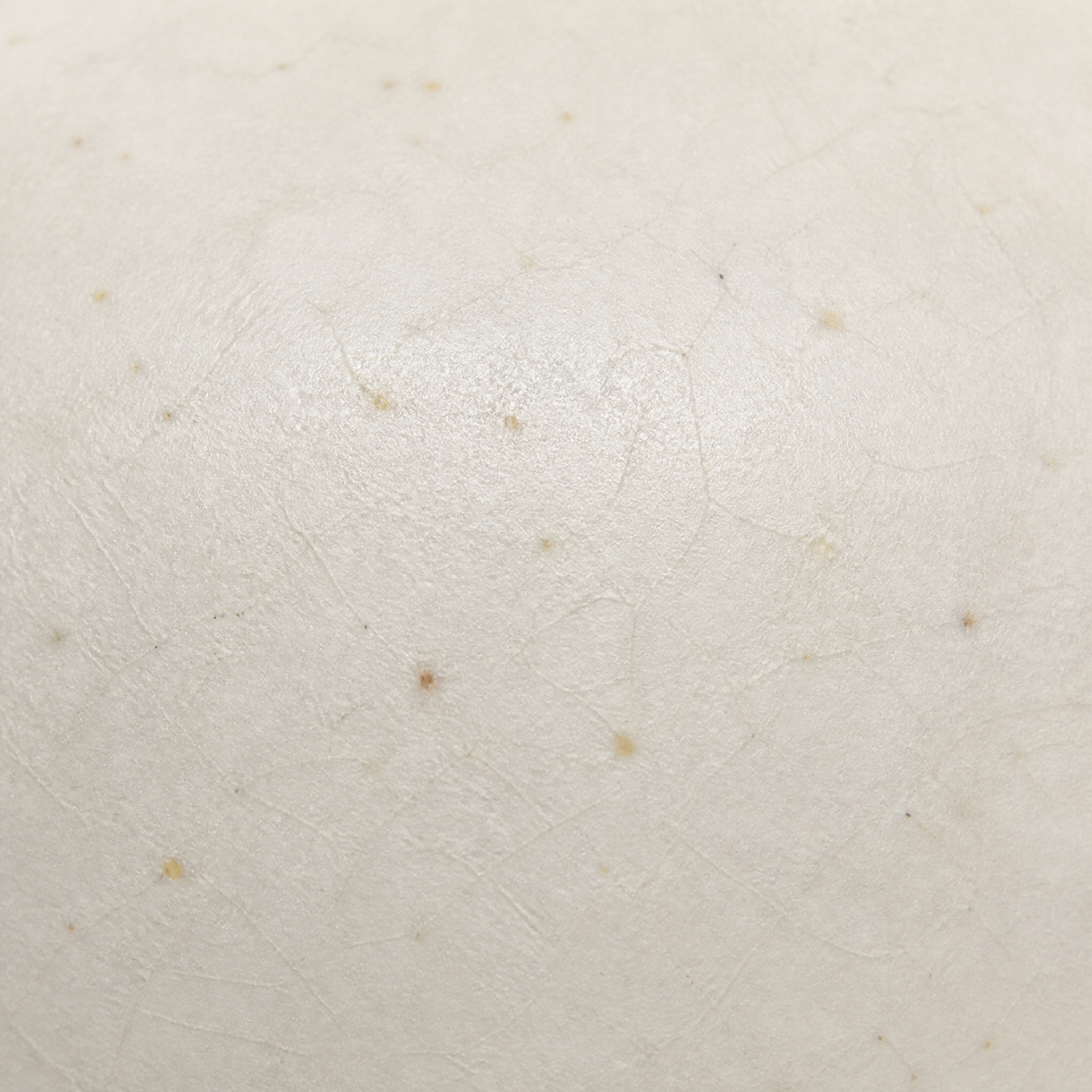 Aveline Ceramic Pot