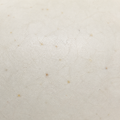 Aveline Ceramic Pot
