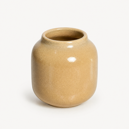 Aveline Ceramic Pot