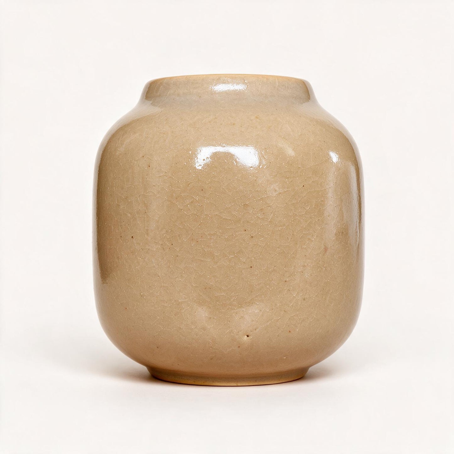 Aveline Ceramic Pot