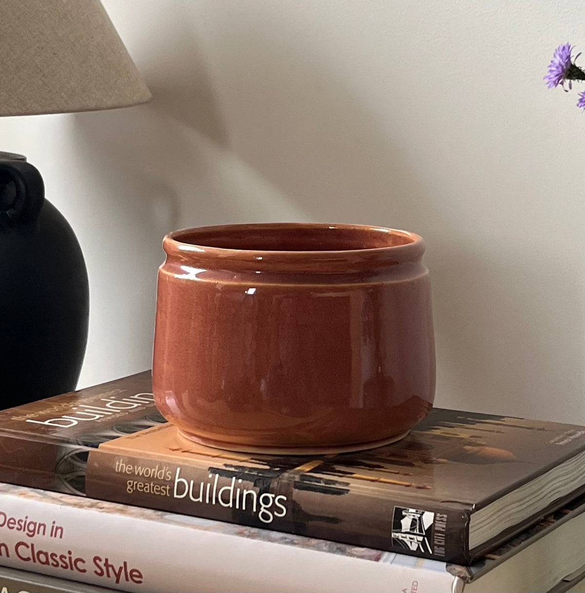 Aster Ceramic Pot
