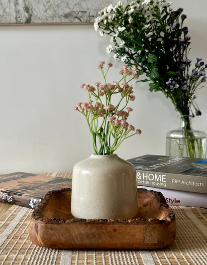 Calisto Ceramic Pot
