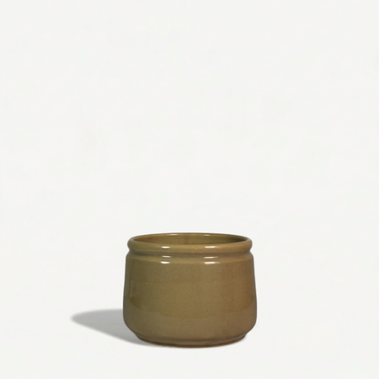 Aster Ceramic Pot