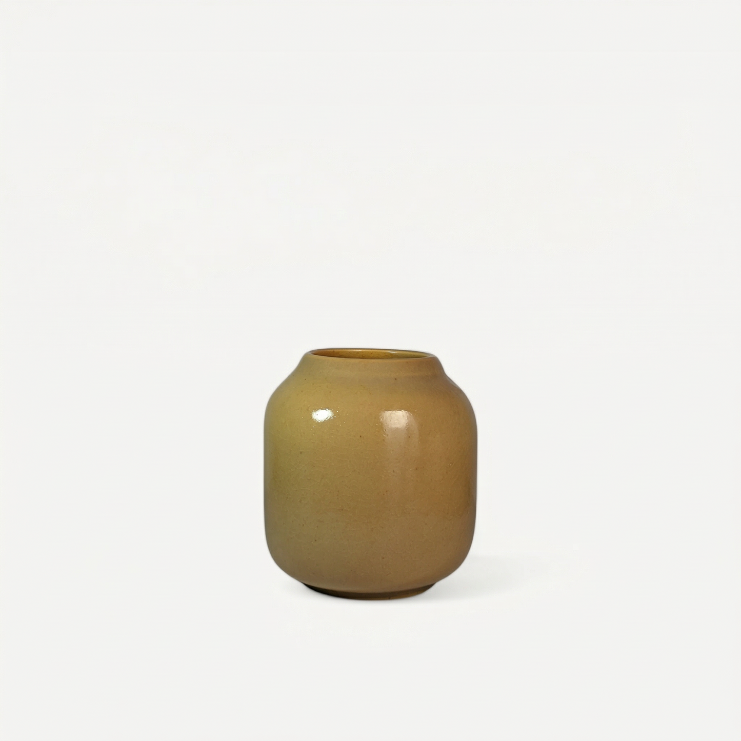 Aveline Ceramic Pot