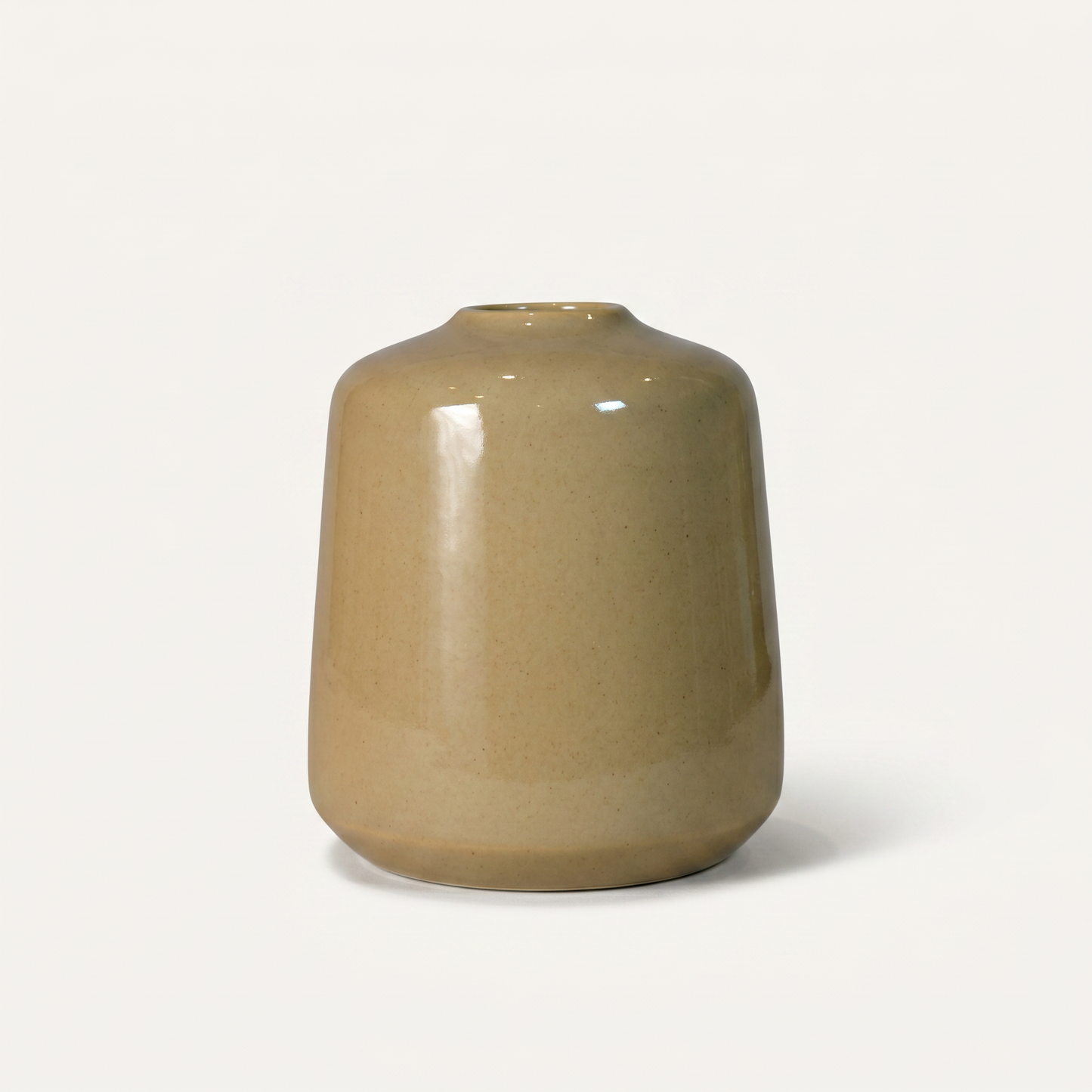 Cypress Ceramic Pot