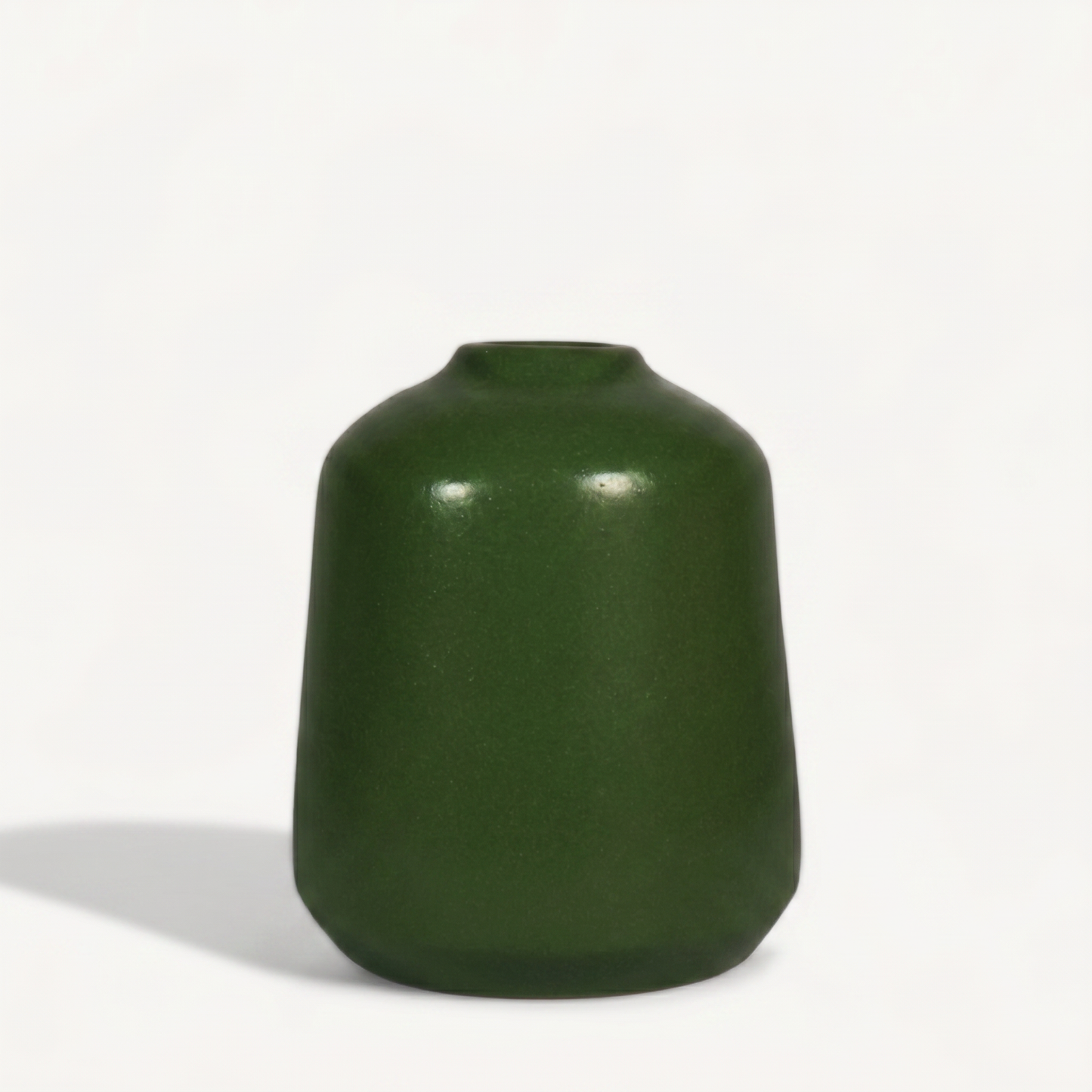 Cypress Ceramic Pot