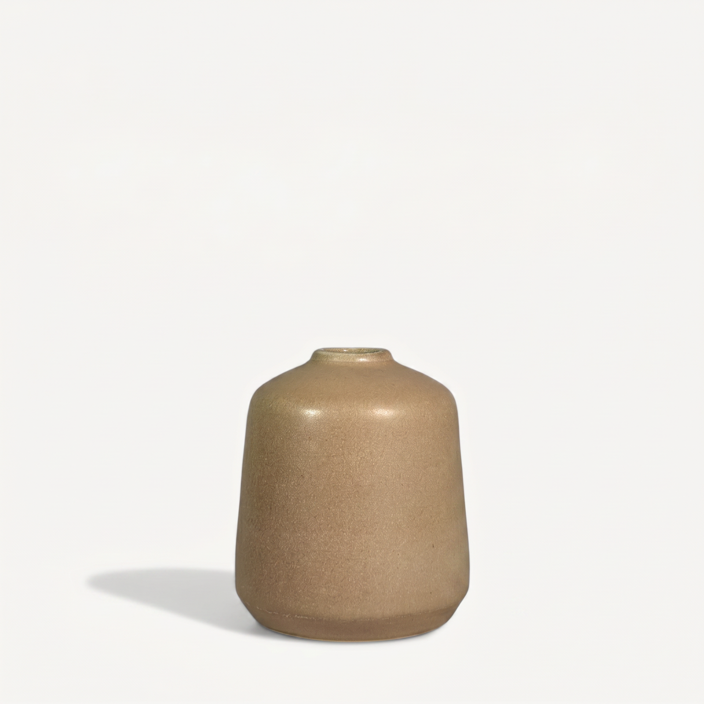 Cypress Ceramic Pot