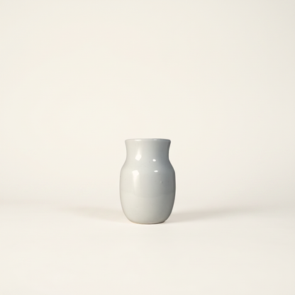 Ivy Ceramic Pot