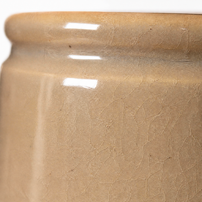 Aster Ceramic Pot