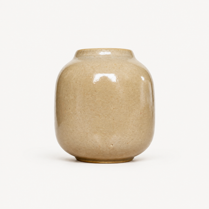 Aveline Ceramic Pot
