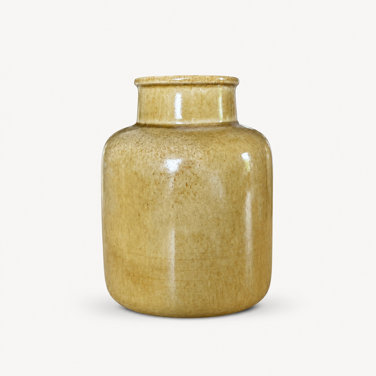 Trimea Ceramic Pot