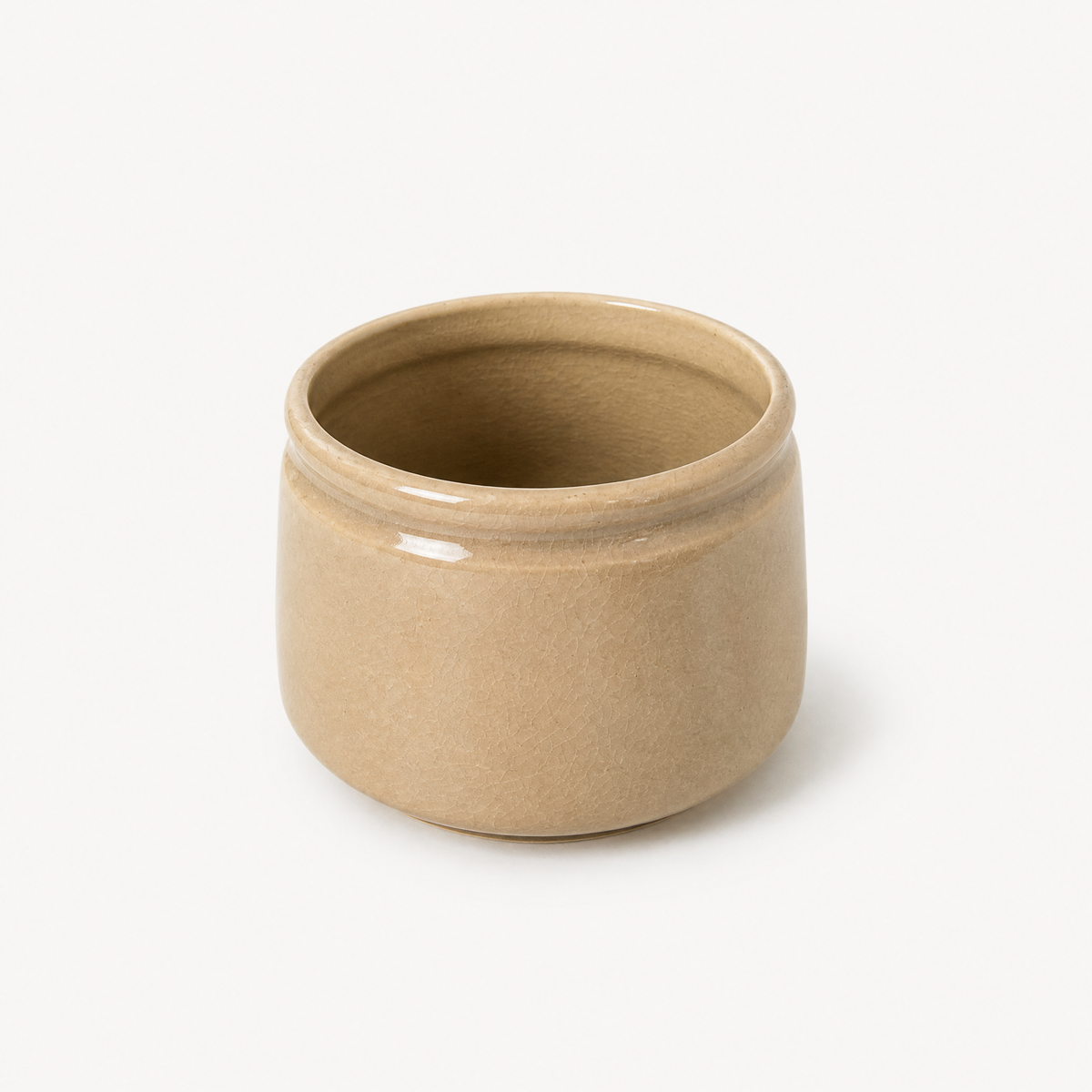 Aster Ceramic Pot