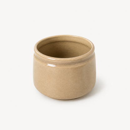 Aster Ceramic Pot