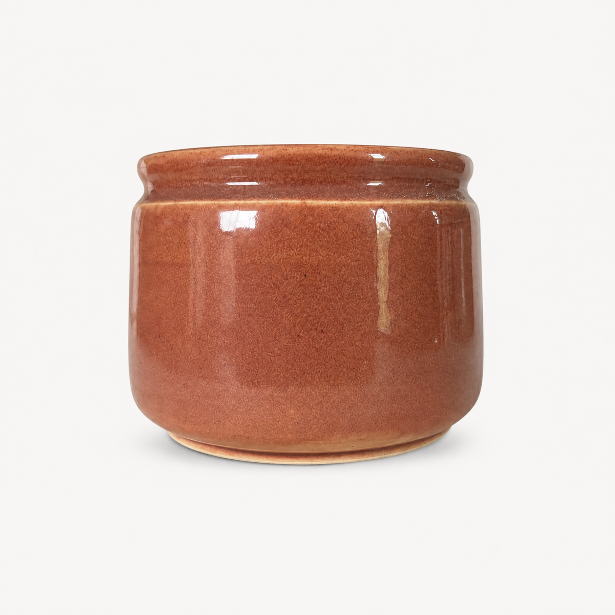Aster Ceramic Pot