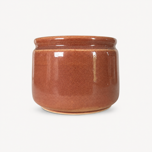 Aster Ceramic Pot