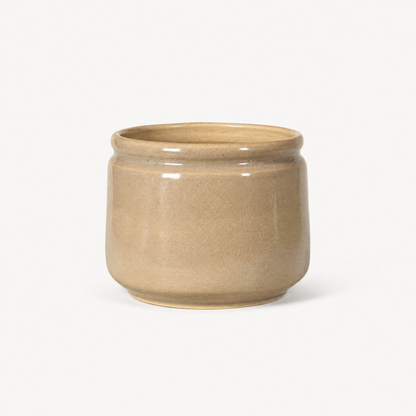 Aster Ceramic Pot
