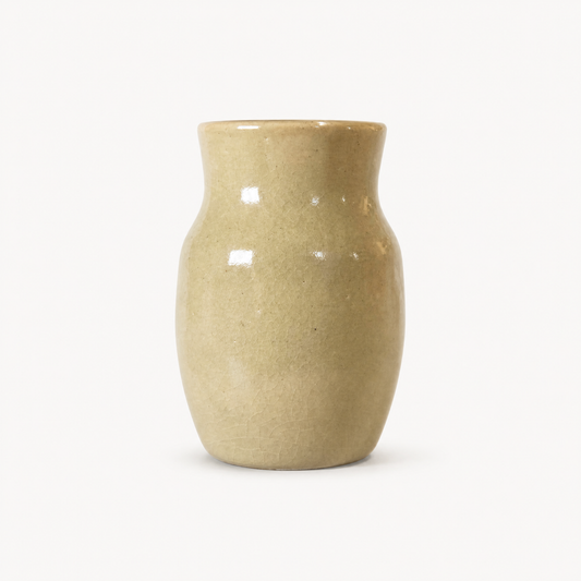 Ivy Ceramic Pot