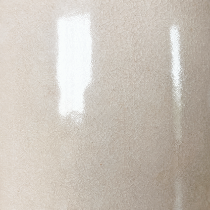 Sia Ceramic Pot