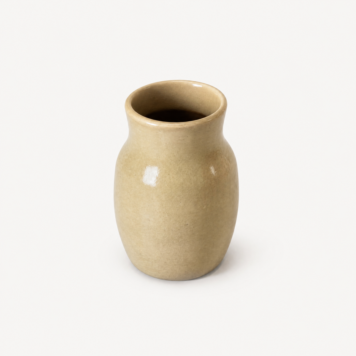 Ivy Ceramic Pot