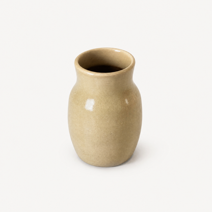 Ivy Ceramic Pot