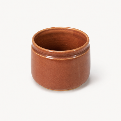 Aster Ceramic Pot