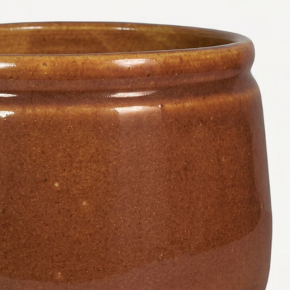 Aster Ceramic Pot
