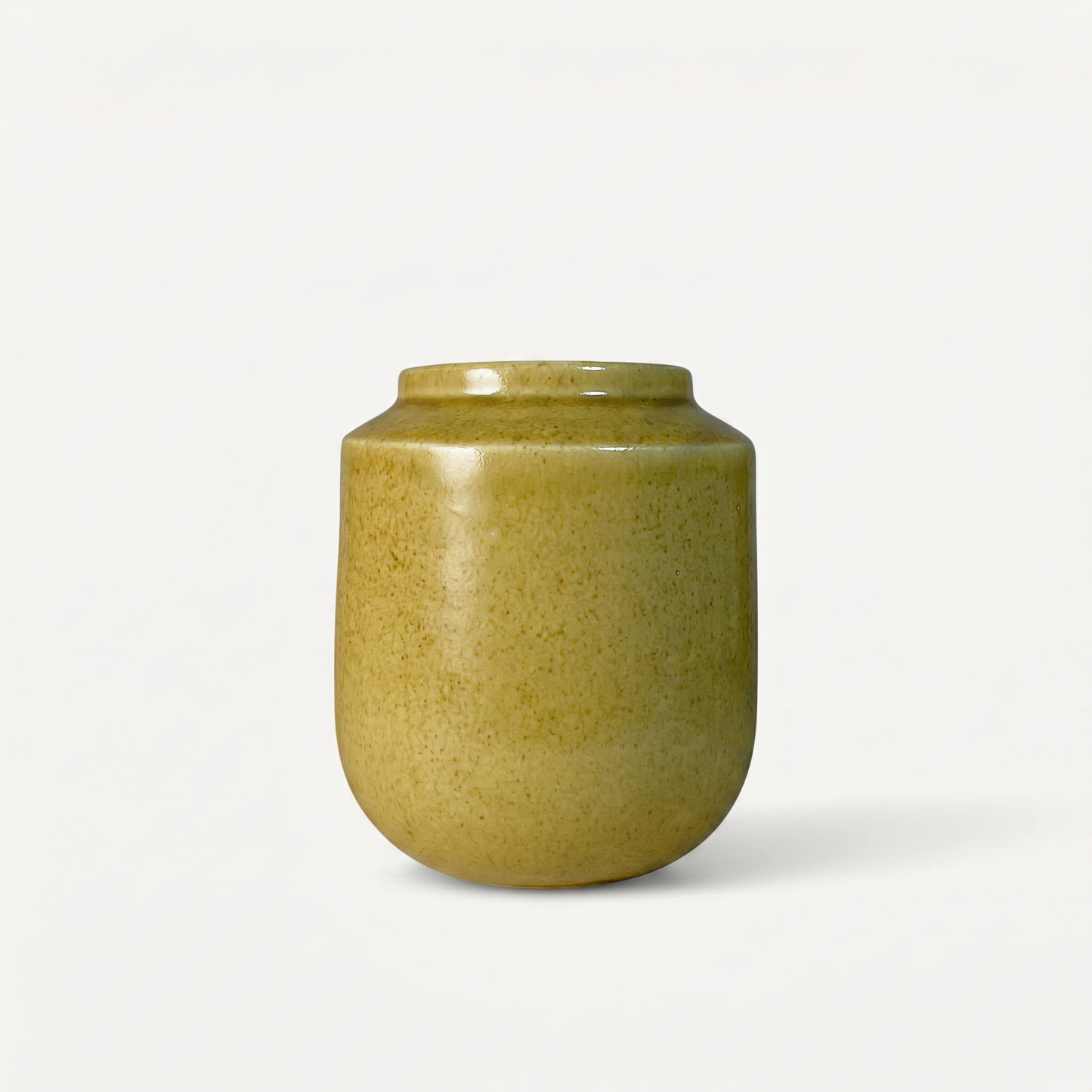 Sylva Ceramic Pot
